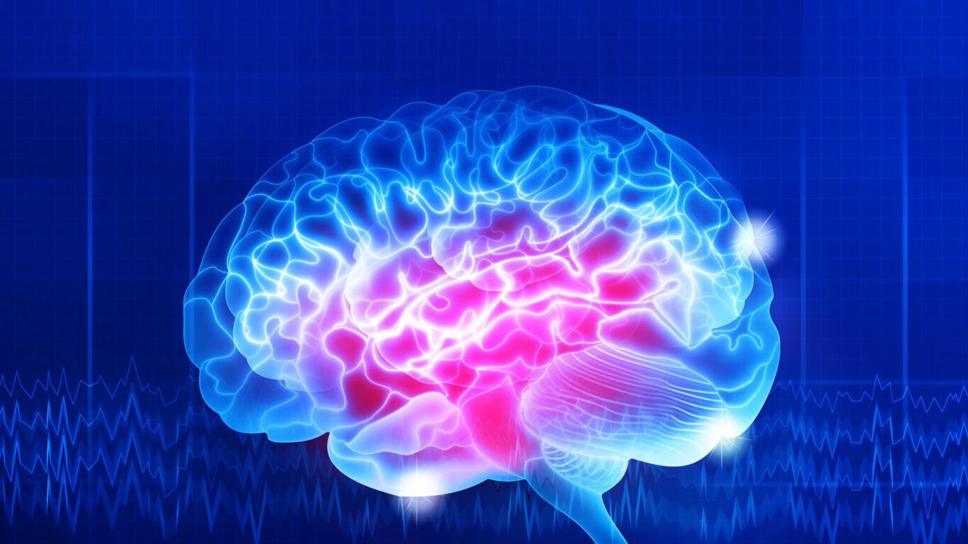 Science of Neuroplasticity: Understanding Brain Healing - Awesome Grace ...